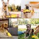 thumbnail image 4 of pares de juguetes de dentición de goma para perros, tamaño pequeño, con forma de pollo chillón, descompresión, amarillo, para limpiar los dientes., 4 of 5