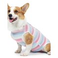 thumbnail image 3 of Ame Dog Clothes Maintain Clothes Cat Recovery Suit Wounds Skin Diseases After Surgery Wear Anti Pet Licking Wounds Clothes For Dogs, 3 of 8