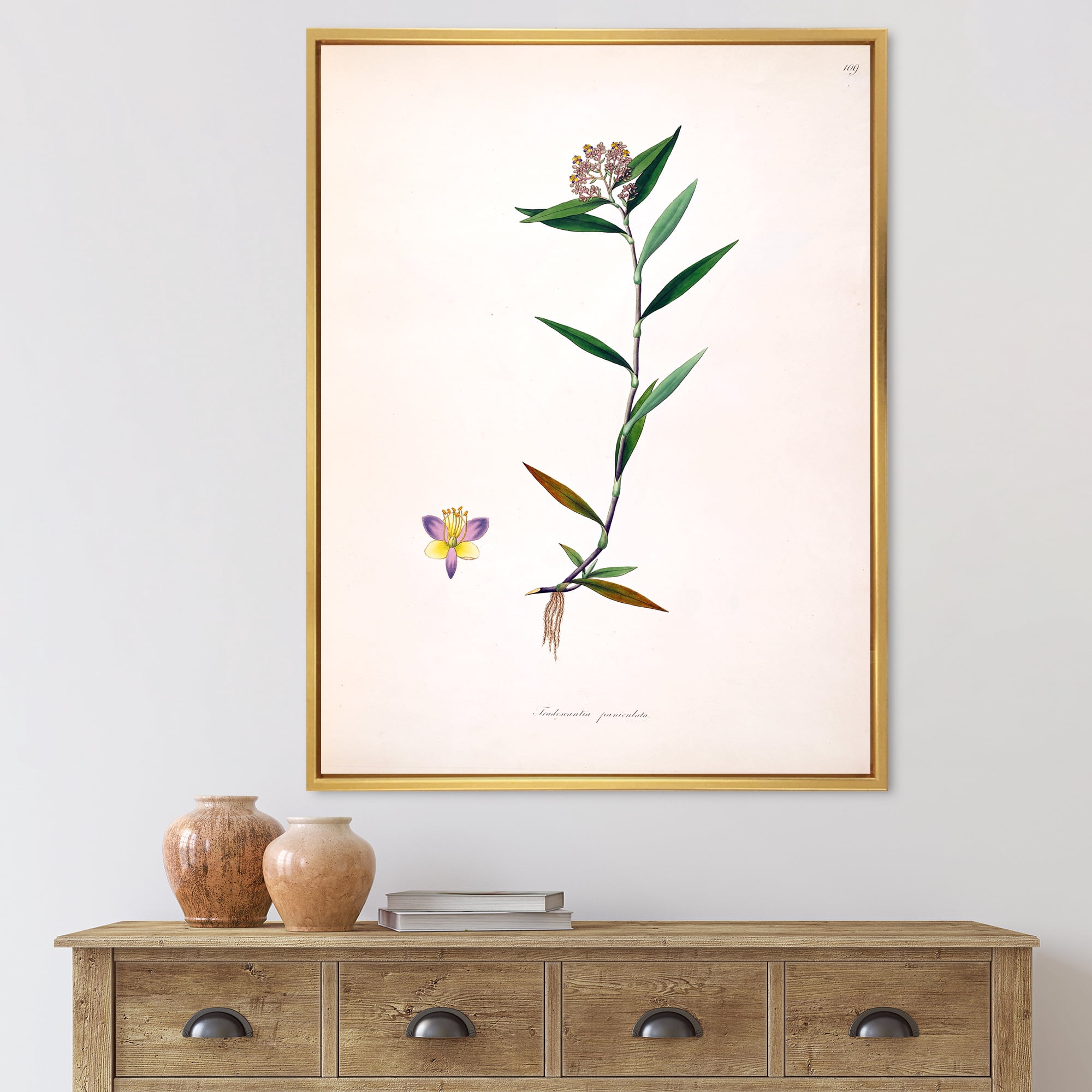 Designart 'Ancient Botanicals XIX' Farmhouse Framed Canvas Wall Art Print