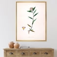 thumbnail image 2 of Designart 'Ancient Botanicals XIX' Farmhouse Framed Canvas Wall Art Print, 2 of 5
