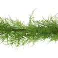 thumbnail image 2 of Northlight Real Touch™️ Cedar Artificial Christmas Garland - 5' x 8" - Unlit, 2 of 5