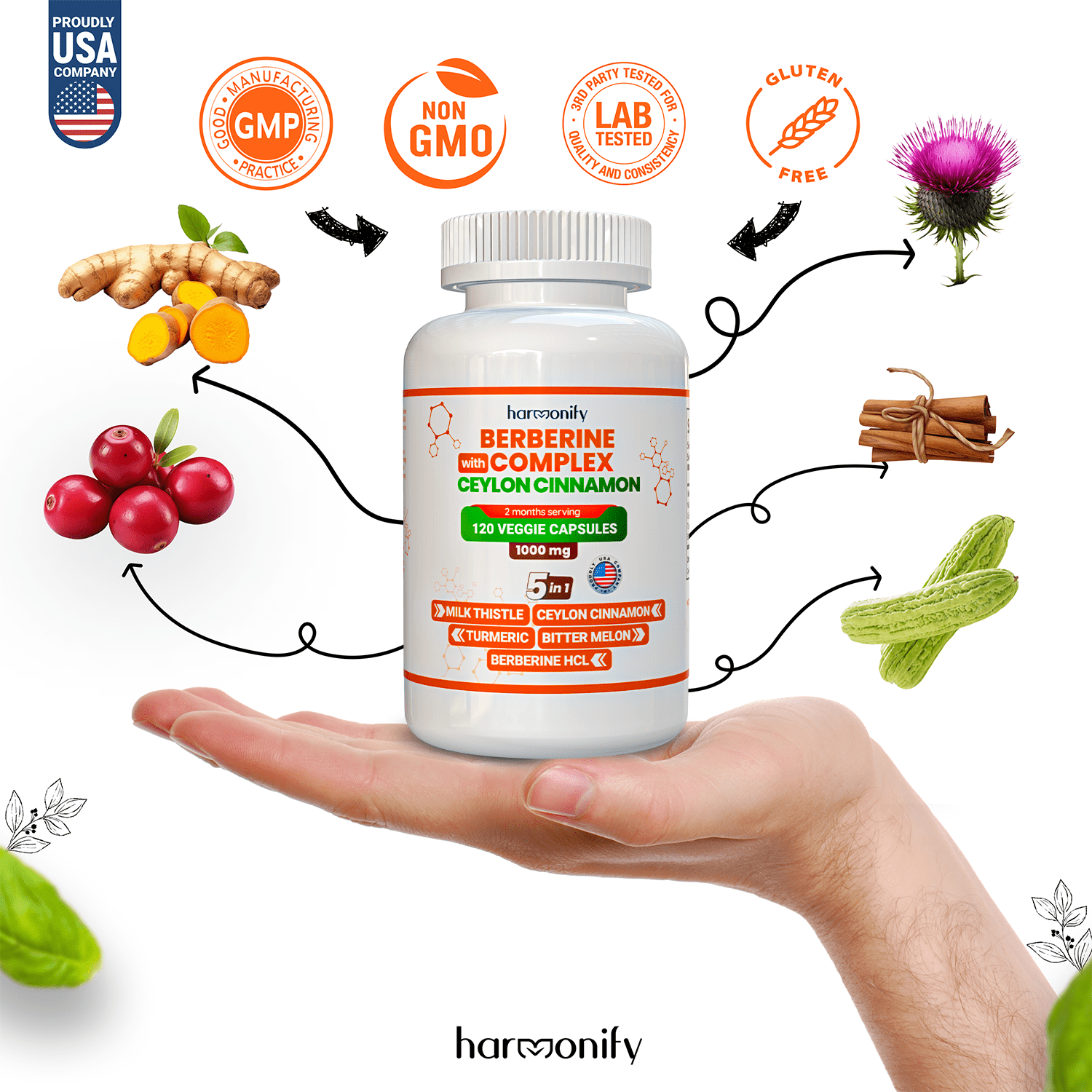 HARMONIFY Berberine with Ceylon Cinnamon, Pure Turmeric, Milk Thistle Bitter Melon, 5 in 1 Formula, 120 Purified Veggie Capsule 1000 Mg | Gluten Free, Non-Gmo