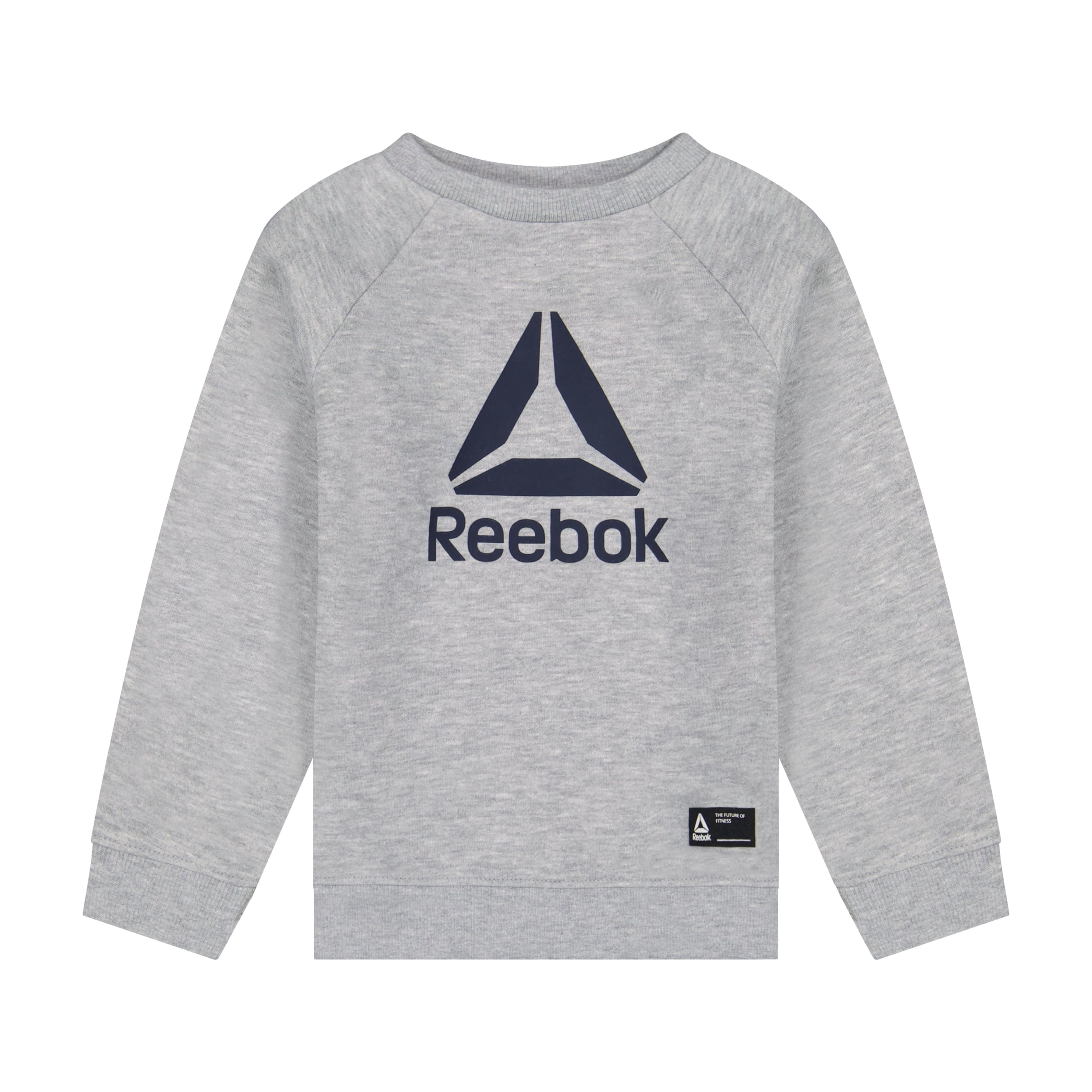 Reebok Toddler Play Hard Crew and Jogger Colorblock Set, 2-Piece, Sizes 12M-5T