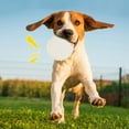 thumbnail image 4 of Jouet pour Animaux, Jouet Interactif Lumineux Résistant aux Morsures pour Chien, Jouet Interactif pour Chien, Valeur Exceptionnelle, 4 of 8