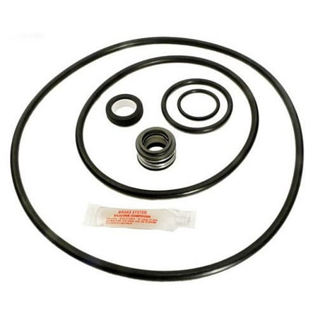 Aladdin GO-KIT79 Go Kit for Sta-Rite Max-E-Pro