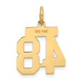 thumbnail image 3 of 14k Yellow Gold Satin Brush Finish Small Size Number 48 Charm Pendant, 3 of 6