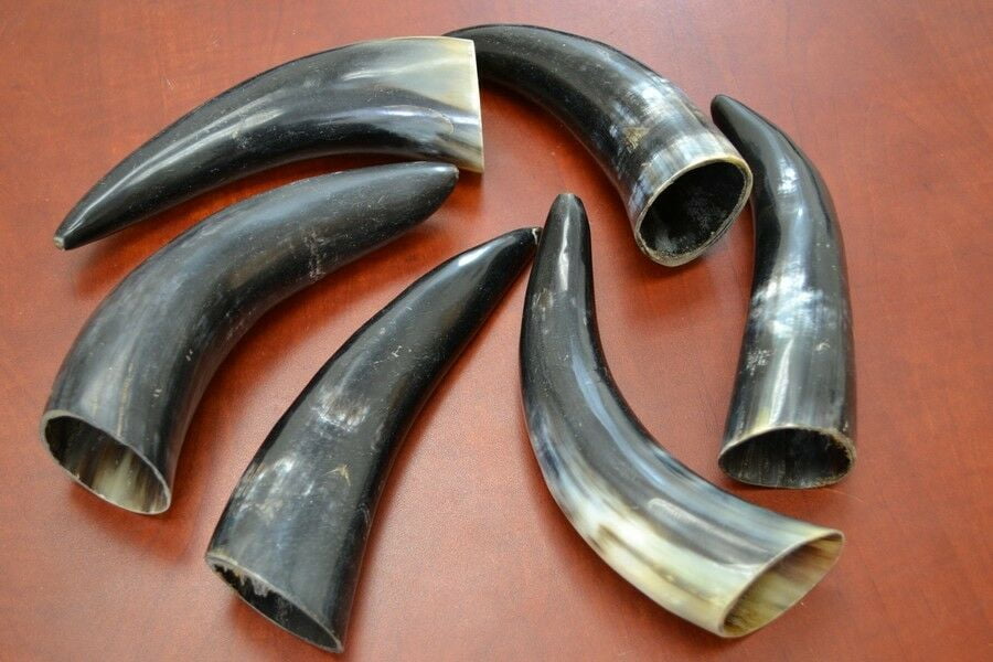 6 Pcs Assort Black Polished Water Buffalo Hollow Viking Horns 6" 8