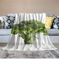 thumbnail image 2 of WERPE Cute Cartoon Broccoli Flannel Blanket Cozy Throw Blanket Warm Bed Blanket Decorative Blanket for Couch Sofa White, 2 of 6