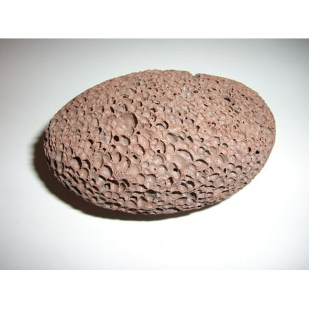 Dead Sea Products: Pumice Stones -- Buy 1 Get 1 FREE, Our Pumice Stones work great in the shower to help exfoliate your feet or rough skin areas. By Dead Sea Spa (Best Way To Get Dead Skin Off Your Feet)