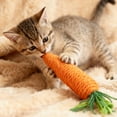 thumbnail image 2 of Cat Carrot Toy Teeth Grinding Toy Rope Interactive Teething Chew Proof, 2 of 8