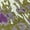 Green, variant on Addison Rugs Chantille Indoor/Outdoor Transitional Abstract Aloe Washable Rectangle Rug, 1'8" x 2'6"