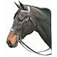 thumbnail image 3 of Henri de Rivel Pro Hunt Bridle Horse Havana, 3 of 4