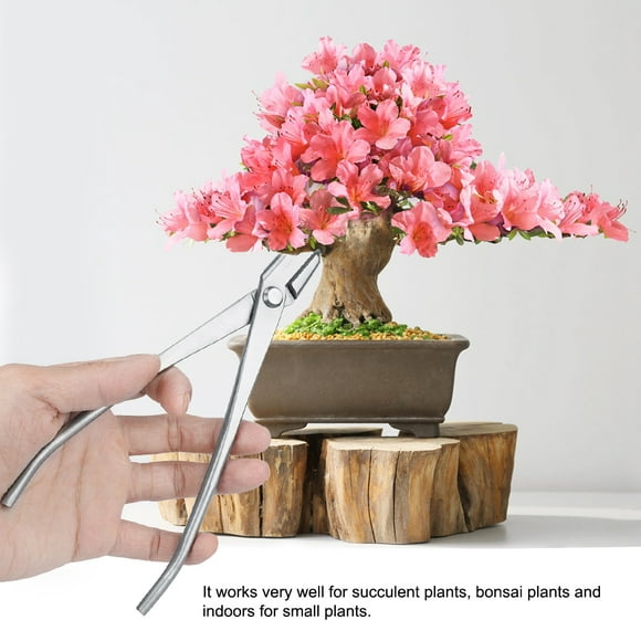 Peahefy Garden Care Stainless Steel Knob Cutter Bonsai Modeling Tools, Bonsai Tools