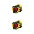 thumbnail image 3 of Sonducket Hook Carpet Kit Butterfly Shaped Kit Yarn Rug Crochet DIY for Beginner Tipo 3 52 cm x 38 cm 2Conjunto, 3 of 6