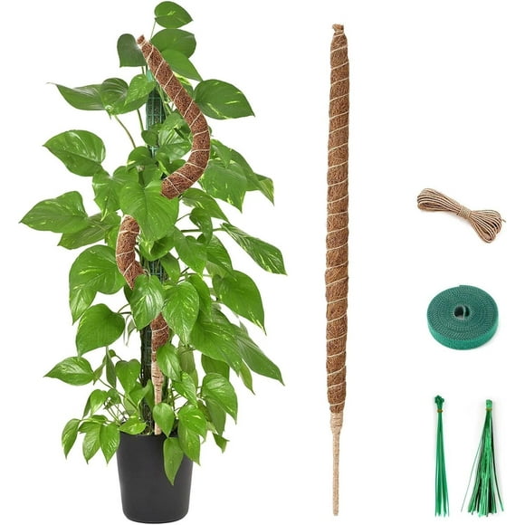 HAHADAXA Moss Pole, 114cm/45in Moss Pole for Cheese Monstera Plant mit Plant Sticks and Ties and Jute Rope