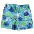 thumbnail image 3 of BCOOL 3-Pack Boys Swim Trunks Size 5-6, Quick Dry Swimming Shorts with Liner - Solid Blue, Tropical Print, 3 of 4