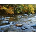thumbnail image 2 of Flaherty, Dennis 24x19 White Modern Wood Framed Museum Art Print Titled - MA, Savoy Forest Autumn beside the Cold River, 2 of 4