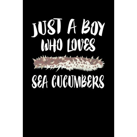 Just A Boy Who Loves Sea Cucumbers: Animal Nature Collection (Paperback)