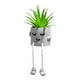 thumbnail image 2 of Plantas suculentas en maceta Plantas suculentas artificiales Plantas en maceta Wmkox8yii fhajkh57, 2 of 3