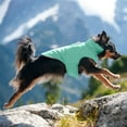 thumbnail image 5 of FurHaven Pet Coat | Water-Repellent Reversible Reflective Puffer Dog Coat, Mint, Small, 5 of 12