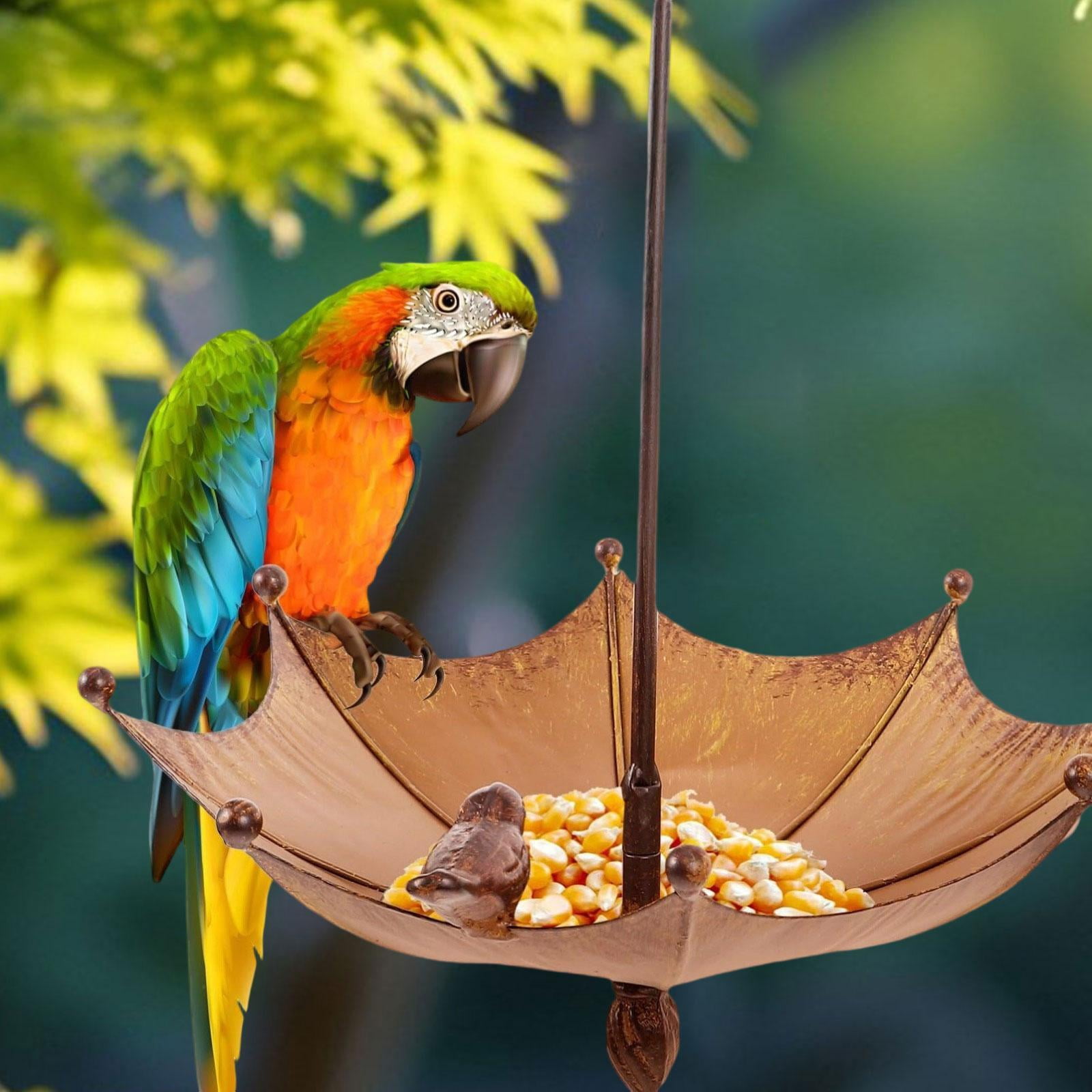 Bothyi Umbrella Shaped Bird Feeder Hanging Iron Decor for Outdoor Courtyard Outside