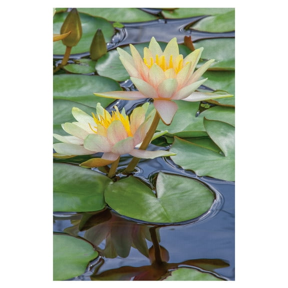 Masterpiece Art Gallery Perfect Couple Water Lillies by Robin Constable Hanson Canvas Art Print 24" x 36"