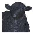 thumbnail image 3 of MOE'S Home DOLLY SHEEP STATUE BLACK, 3 of 3