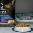 thumbnail image 3 of Pure Balance Pro+ Sensitive Skin & Coat, Salmon & Brown Rice Recipe Dry Dog Food 3.5KG, 3 of 8