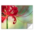 thumbnail image 2 of Dean Uhlinger Soft Spring, Art Appeelz Removable Wall Art Graphic, 2 of 2