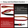 thumbnail image 6 of DOCO Solar Shock Absorbing Reflective Mesh Bungee Leash with Double, Traffic Handle for Walking and Training of Small, Medium and Large Dogs, 6 of 7