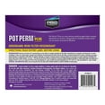 thumbnail image 4 of Pot Perm Plus Régénérant Filtre en Fer pour Sable Vert Bouteille de 28oz pour Produits Pro KP02N, 4 of 4