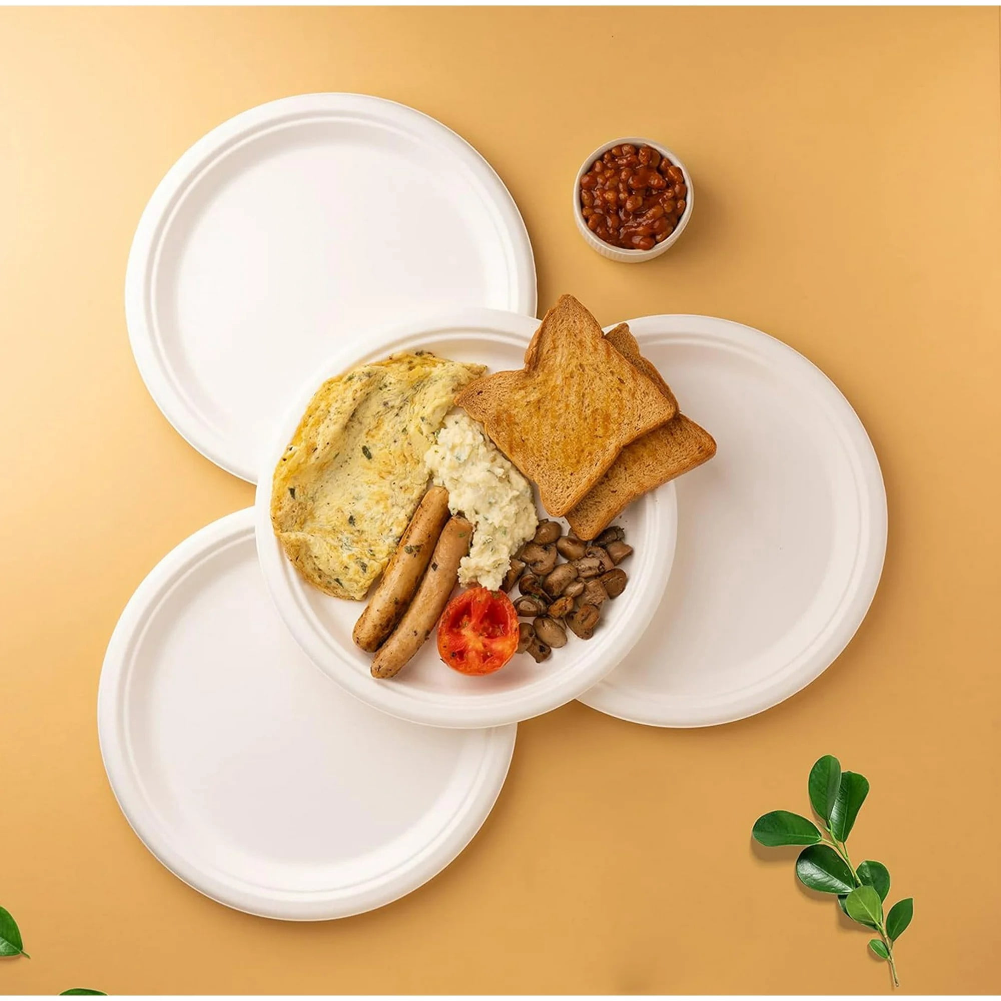 Watson Distributing 10" Disposable Plate Round Bagasse, 500 Count