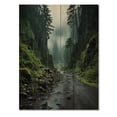 thumbnail image 3 of Designart "Muddy Pathway in Olympic National Park, USA" Landscapes Print on Natural Pine Wood, 3 of 5