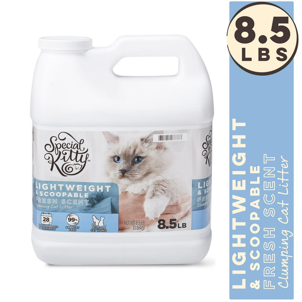 Special Kitty Lightweight & Scoopable Clumping Cat Litter, Fresh Scent