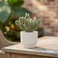 thumbnail image 2 of Bloem Enzo 4" Plastic Round Decorative Planter, Vanilla Bean, 6-Pack, 2 of 8
