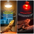 thumbnail image 2 of Combinación de bombillas de calor para reptiles MIXJOY, 100 W, día y noche, 2 of 8