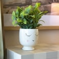 thumbnail image 6 of Mainstays Tabletop Artificial Faux Tea Leaf Plant in White Ceramic Shy Girl Pot, 3", 6 of 6