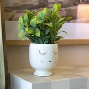 Mainstays Tabletop Artificial Faux Tea Leaf Plant in White Ceramic Shy Girl Pot, 3