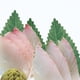 thumbnail image 4 of Paquete De 200 Accesorios De Cocina De Hoja Decorativa, Alfombrilla Para Comida, Herramientas De Calcomanía, Artesanía, Suministros De Sushi, Hojas Decorativas De Simulación De Hierba Guardurnaity HA036064-00, 4 of 6