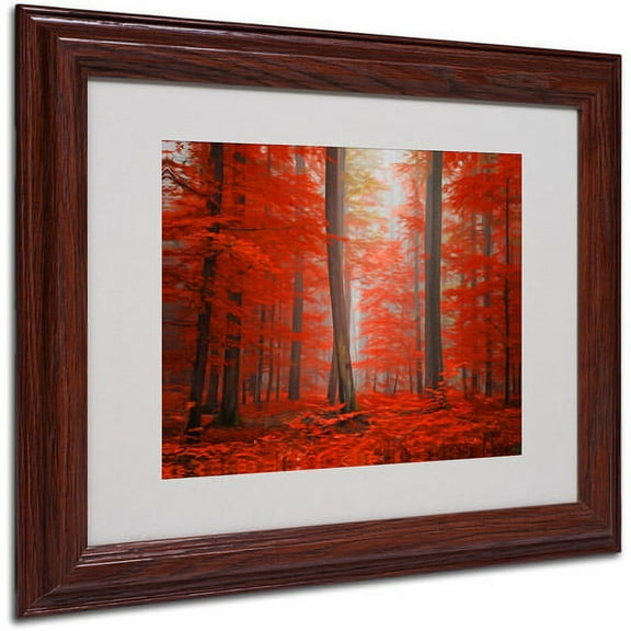 Trademark Fine Art "Speaking of Tongue" Canvas Art by Philippe Sainte-Laudy, Wood Frame