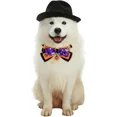 thumbnail image 2 of Collar ajustable para mascotas de Halloween, collar con hebilla de Halloween con baberos con pajarita de campana, accesorios para disfraces de mascotas para perros y gatos de Halloween (L 27-35 cm), 2 of 5