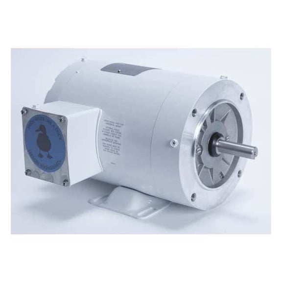 Leeson Washdown Motor,1/2HP,3-Phase Design,CWSE 115743.00