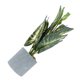 thumbnail image 5 of TABLETREANDS 1Ud Planta Monstera Artificial De Plástico Con Bonsái Simulado Para De Hogar Y Oficina, 5 of 8