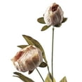 thumbnail image 2 of 16 Pack: Tan Peony Stem by Ashland, 2 of 3