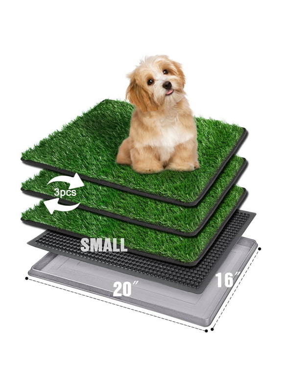 Puppy Pads in Dog Potty Training