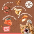 thumbnail image 4 of Purina Friskies Extra Chunky Gravy Variety Pack, Wet Cat Food, 5.5 oz Cans, 24 Pack, 4 of 10