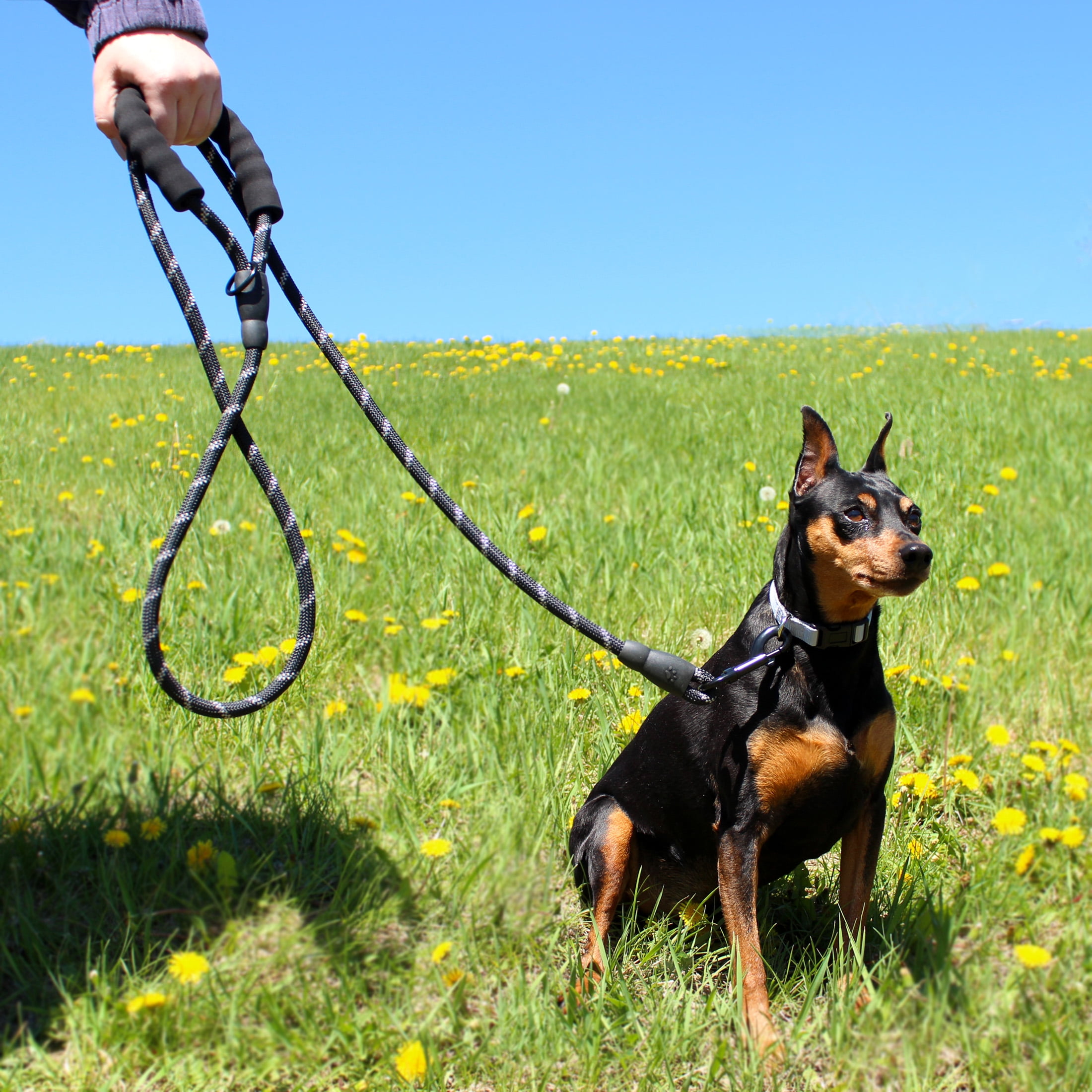Vibrant Life 6' Neoprene Cushioned Rope Dog Leash, Black