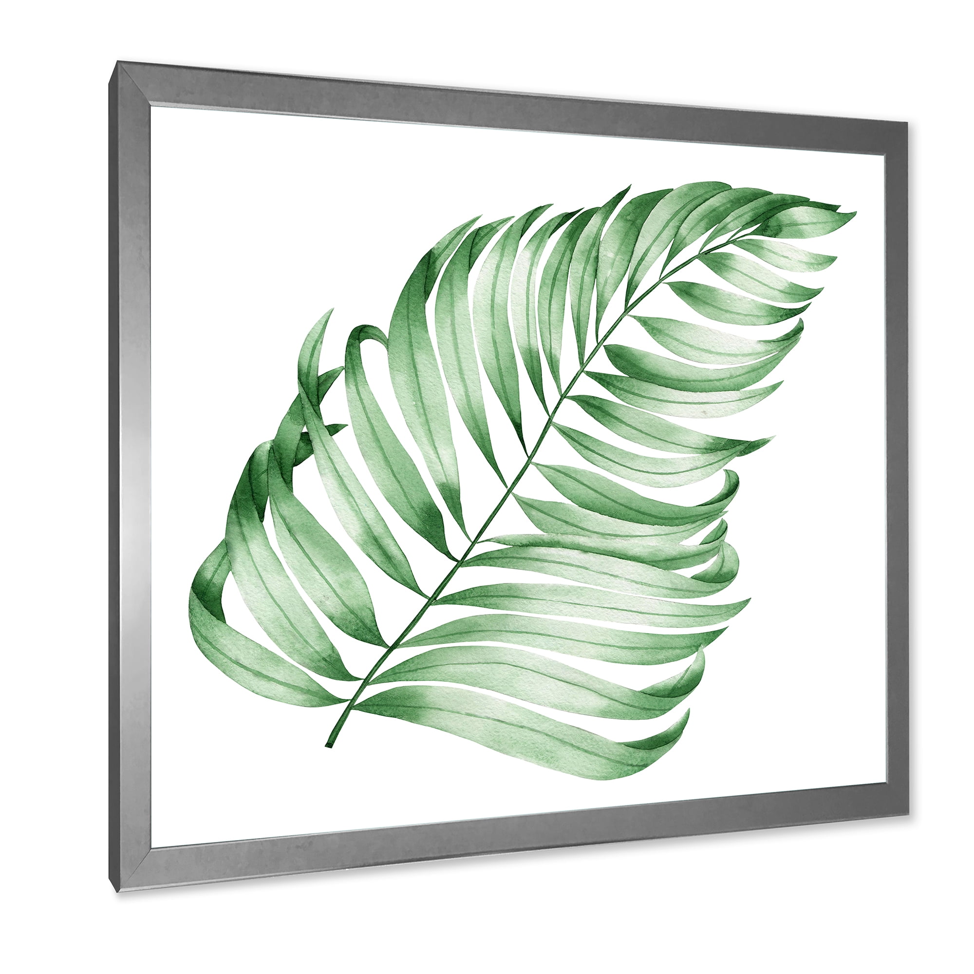 Designart 'Close Up Of Tropical Leaf Of Monstera II' Farmhouse Framed Art Print