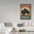 thumbnail image 3 of Trademark Fine Art 'Buffalo Whiskey' Canvas Art by Ryan Fowler, 3 of 3