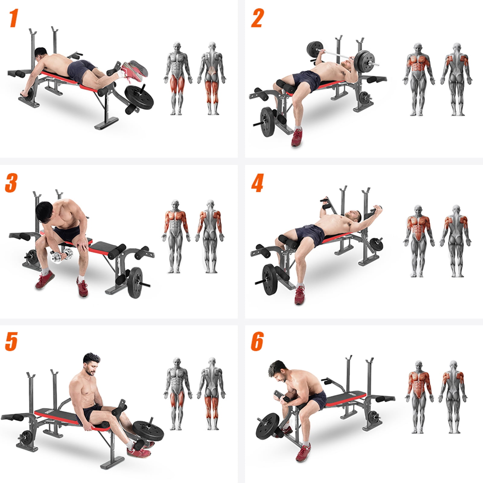 800 LBS Capacity 4-in-1 Weight Bench with Preacher Curl & Leg Developer, Adjustable Home Gym for Full Body Strength Training
